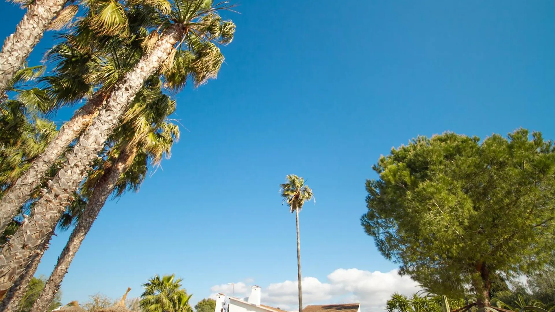 Villa Aladin Resort Lujo La Aranjasa Spain